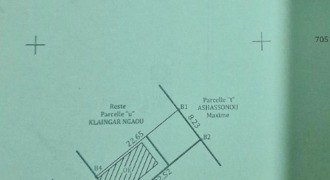 Parcelle de 250 m2 A VENDRE à Wologuede